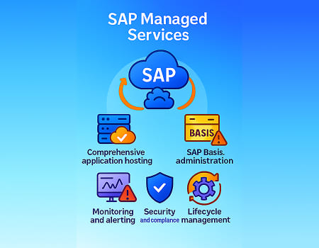 SAP application managed services